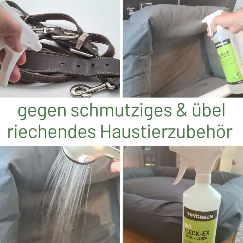 TRYGREEN Bio Fleck-Ex Textil + Leder Sprühflasche. Fleckenentferner & Geruchsentferner. Bio Reinigungsmittel bei haustieren, für Hundekissen und Katzenkissen. Reinigt Stoff und Leder.